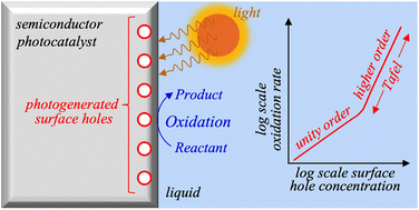 Graphical abstract: Do potential dependent kinetics play a role in photocatalytic rate trends?