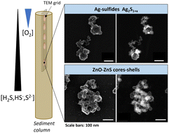 Graphical abstract: Depth-dependent transformation of ZnO and Ag nanoparticles in sulfate-reducing sediments tracked using scanning transmission electron microscopy