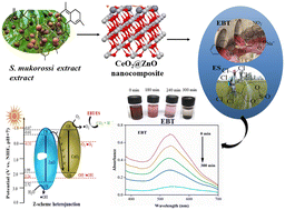 Graphical abstract: Highly efficient sunlight-driven photo-adsorptive degradation of organic pollutants by green synthesized Z-scheme heterojunction CeO2@ZnO nanocomposite