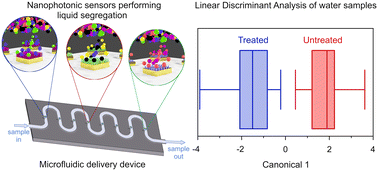 Graphical abstract: A cross-reactive plasmonic sensing array for drinking water assessment