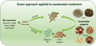 Graphical abstract: Immobilization of biogenic metal nanoparticles on sustainable materials – green approach applied to wastewater treatment: a systematic review