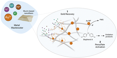 Graphical abstract: Selective metal recovery by mucin: turning gold from wastewater into a peroxymonosulfate-activated catalyst