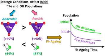Graphical abstract: Influence of time and ageing conditions on the properties of ferrihydrite