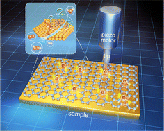 Graphical abstract: Atomically imaging single atom catalysts and their behaviors by scanning tunneling microscopy