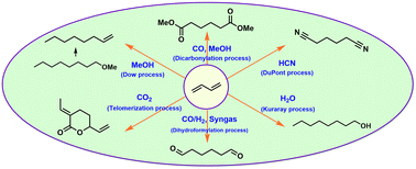 Graphical abstract: Industrially applied and relevant transformations of 1,3-butadiene using homogeneous catalysts