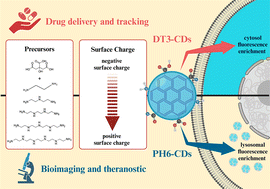 Graphical abstract: Shining a light on cells: amine-passivated fluorescent carbon dots as bioimaging nanoprobes