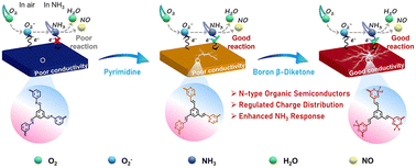 Graphical abstract: n-Type boron β-diketone-containing conjugated polymers for high-performance room temperature ammonia sensors