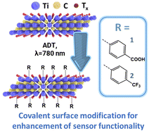 Graphical abstract: Plasmon assisted Ti3C2Tx grafting and surface termination tuning for enhancement of flake stability and humidity sensing performance