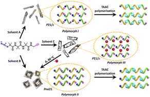 Graphical abstract: Rational design and topochemical synthesis of polymorphs of a polymer