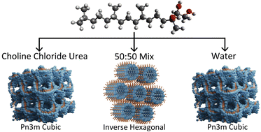 Graphical abstract: Phytantriol phase behaviour in choline chloride urea and water mixtures