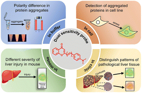 Graphical abstract: Solvatochromic sensors detect proteome aggregation in stressed liver tissues with hepatic cancer and cirrhosis