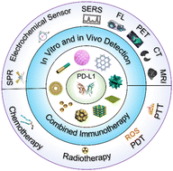 Graphical abstract: Recent advances in nanotechnology for programmed death ligand 1-targeted cancer theranostics