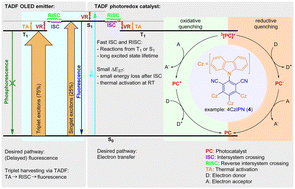 Graphical abstract: Common ground and divergence: OLED emitters as photocatalysts
