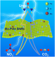 Graphical abstract: Alloying effect modulated electronic structure of Mo-doped PdIn bimetallene nanoribbons for ambient electrosynthesis of urea