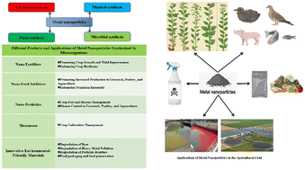 Graphical abstract: Mechanisms and applications of microbial synthesis of metal nanoparticles in agri-sectors