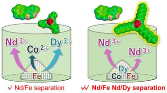 Graphical abstract: Improved separation of rare earth elements using hydrophobic deep eutectic solvents: liquid–liquid extraction to selective dissolution