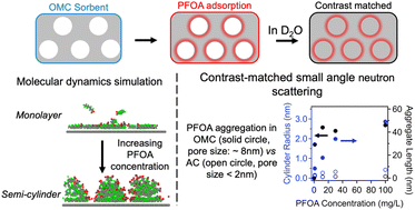 Graphical abstract: Critical role of pore size on perfluorooctanoic acid adsorption behaviors in carbonaceous sorbents