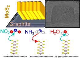 Graphical abstract: Vertical heterostructure of graphite–MoS2 for gas sensing