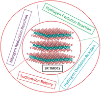 Graphical abstract: Rhombohedrally stacked layered transition metal dichalcogenides and their electrocatalytic applications