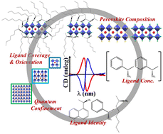 Graphical abstract: Factors influencing the chiral imprinting in perovskite nanoparticles