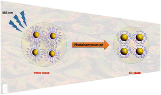 Graphical abstract: Tuning the optical properties of gold nanoparticles via photoactive liquid crystalline azo ligands