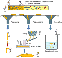 Graphical abstract: Frontal polymerization of thiol–acrylate covalent adaptable networks