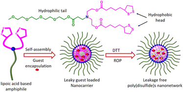 Graphical abstract: Reducing agent-triggered templated synthesis of a dynamic covalent poly(disulfide)s nanonetwork: remarkable tuning in noncovalent encapsulation stabilities and cargo release