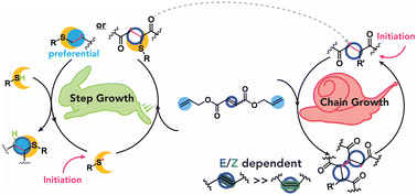 Graphical abstract: Harnessing ene-type and stereochemistry to control reaction kinetics and network architecture in thiol–ene photopolymerizations using maleate and fumarate-derived monomers