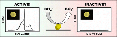 Graphical abstract: Drop-cast gold nanoparticles are not always electrocatalytically active for the borohydride oxidation reaction