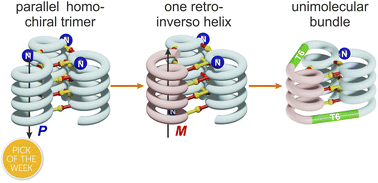 Graphical abstract: Design of an abiotic unimolecular three-helix bundle