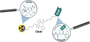 Graphical abstract: Cysteine-selective [188Re]Re(v) radiolabelling of a Nanobody® for targeted radionuclide therapy using a “chelate-then-click” approach
