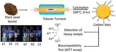 Graphical abstract: Selective sensing of heavy metal ions using carbon dots synthesized from Azadirachta indica seeds