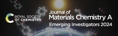 Graphical abstract: Contributors to the Journal of Materials Chemistry A Emerging Investigators 2024 collection