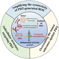 Graphical abstract: Nanoplatform-based strategies for enhancing the lethality of current antitumor PDT