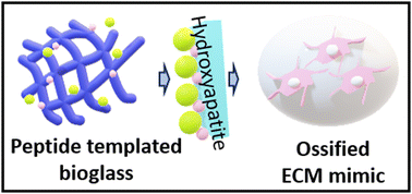 Graphical abstract: Maneuvering the mineralization of self-assembled peptide nanofibers for designing mechanically-stiffened self-healable composites toward bone-mimetic ECM