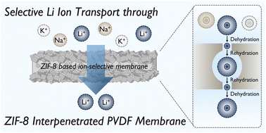 Graphical abstract: Selective Li ion transport via interpenetrated crystal growth on ZIF-8 seeded nanocomposite membranes