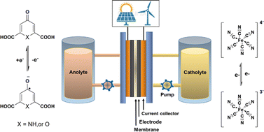 Graphical abstract: Tautomerism and nucleophilic addition influence the performance of aqueous organic redox flow batteries of chelidamic acid and chelidonic acid