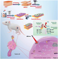 Graphical abstract: NiFe-LDH-enhanced Ru single-atom catalysts anchored on MXenes for synergistic photothermal–nanocatalytic cancer therapy