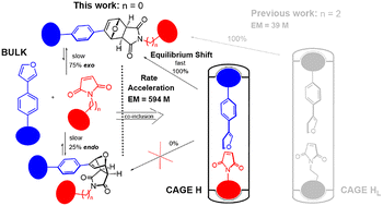 Graphical abstract: Reducing rotatable bonds in one substrate accelerates a bimolecular Diels–Alder reaction in a bis-calix[4]pyrrole cage