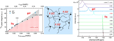 Graphical abstract: Ionene-based physical hydrogels: probing the liquid-gel transition, chain and counterion dynamics by means of NMR