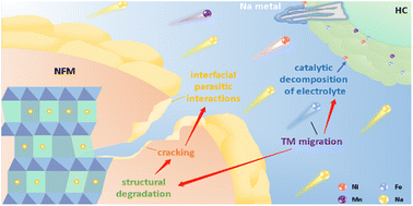 Graphical abstract: High-voltage cycling degradation mechanisms of the NaNi1/3Fe1/3Mn1/3O2 cathode in sodium-ion pouch cells