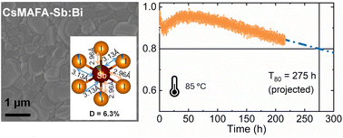 Graphical abstract: The promise of operational stability in pnictogen-based perovskite-inspired solar cells