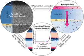 Graphical abstract: Over 31%-efficient perovskite–TOPCon solar cells enabled by AlOx-based hydrogenation and front sub-micron texturing