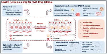 Graphical abstract: LEADS – a comprehensive human liver-on-a-chip for non-alcoholic steatohepatitis (NASH) drug testing