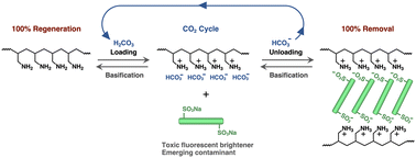 Graphical abstract: Effective and sustainable removal of a model fluorescent brightener using bicarbonate-loaded polyelectrolytes in a closed-loop CO2 cycle
