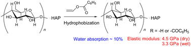 Graphical abstract: Benzoylation of microfibrillated cellulose–hydroxyapatite composites for green and water-resistant mechanical materials