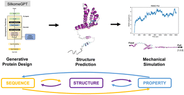 Graphical abstract: Generative design and molecular mechanics characterization of silk proteins based on unfolding behavior