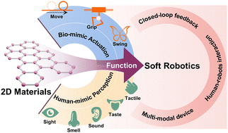 Graphical abstract: Two-dimensional materials for adaptive functionalities in soft robotics