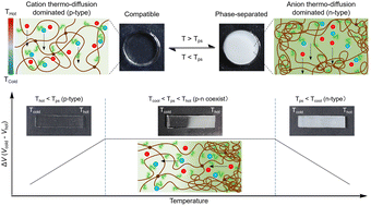 Graphical abstract: P–N switchable thermoelectric ionogels enabled by microphase separation for intelligent thermal sensing