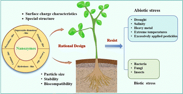 Graphical abstract: Nanozymes: recent advances for sustainable agricultural development